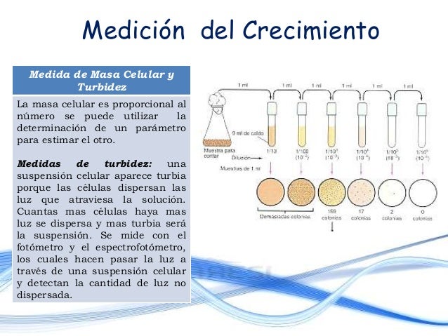 Crecimiento microbiano