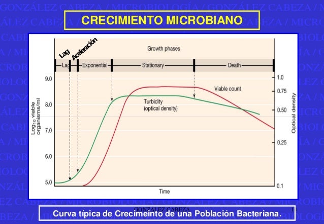 Crecimiento microbiano PDF