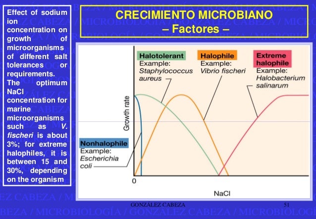 Crecimiento microbiano PDF
