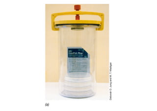 Crecimiento Microbiano