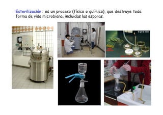 Crecimiento Microbiano