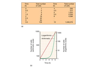 Crecimiento Microbiano