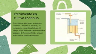 crecimiento en
cultivo continuo
Es un sistema abierto con un volumen
constante , el medio se renueva y su
composicion no cambia a lo largo del
tiempo lo que permite el crecimiento de la
poblacion de forma indefinida , una vez
alcanzando el estado de equilibrio.
 