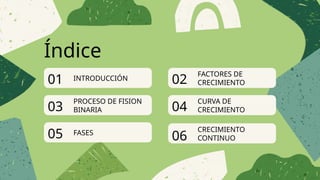 Índice
01 02
03 04
05
INTRODUCCIÓN
FACTORES DE
CRECIMIENTO
PROCESO DE FISION
BINARIA
CURVA DE
CRECIMIENTO
FASES
06
CRECIMIENTO
CONTINUO
 