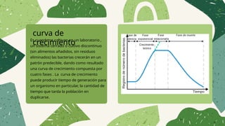 curva de
crecimiento
Es cuando se cultivan en un laboratorio ,
un sistema cerrado o cultivo discontinuo
(sin alimentos añadidos, sin residuos
eliminados) las bacterias crecerán en un
patrón predecible, dando como resultado
una curva de crecimiento compuesta por
cuatro fases . La curva de crecimiento
puede producir tiempo de generación para
un organismo en particular, la cantidad de
tiempo que tarda la población en
duplicarse.
 