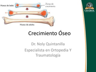 Crecimiento Óseo
Dr. Noly Quintanilla
Especialista en Ortopedia Y
Traumatología
 