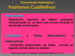 Hamartoma  Disposición anormal de tejidos presentes normalmente en un área que ocurre durante el desarrollo embrionario. Coristoma  o Tejido Heterotópico o Heteroplasia Desarrollo embrionario de tejido  normal en lugares donde estos no existen.  Cátedra de Anatomía Patológica. Facultad de Medicina. U. N. T. Crecimiento Patológico I 