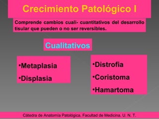 Crecimiento Patológico I Cualitativos Cátedra de Anatomía Patológica. Facultad de Medicina. U. N. T. Metaplasia Displasia Comprende cambios cuali- cuantitativos del desarrollo tisular que pueden o no ser reversibles . Distrofia Coristoma Hamartoma 