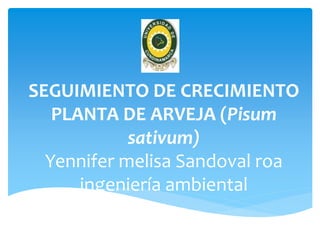 SEGUIMIENTO DE CRECIMIENTO
PLANTA DE ARVEJA (Pisum
sativum)
Yennifer melisa Sandoval roa
ingeniería ambiental

 