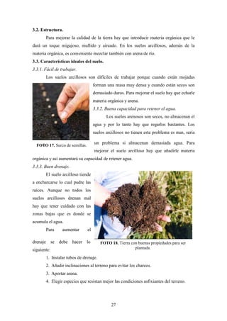 27
3.2. Estructura.
Para mejorar la calidad de la tierra hay que introducir materia orgánica que le
dará un toque migajoso, mullido y aireado. En los suelos arcillosos, además de la
materia orgánica, es conveniente mezclar también con arena de río.
3.3. Características ideales del suelo.
3.3.1. Fácil de trabajar.
Los suelos arcillosos son difíciles de trabajar porque cuando están mojadas
forman una masa muy densa y cuando están secos son
demasiado duros. Para mejorar el suelo hay que echarle
materia orgánica y arena.
3.3.2. Buena capacidad para retener el agua.
Los suelos arenosos son secos, no almacenan el
agua y por lo tanto hay que regarlos bastantes. Los
suelos arcillosos no tienen este problema es mas, sería
un problema si almacenan demasiada agua. Para
mejorar el suelo arcilloso hay que añadirle materia
orgánica y así aumentará su capacidad de retener agua.
3.3.3. Buen drenaje.
El suelo arcilloso tiende
a encharcarse lo cual pudre las
raíces. Aunque no todos los
suelos arcillosos drenan mal
hay que tener cuidado con las
zonas bajas que es donde se
acumula el agua.
Para aumentar el
drenaje se debe hacer lo
siguiente:
1. Instalar tubos de drenaje.
2. Añadir inclinaciones al terreno para evitar los charcos.
3. Aportar arena.
4. Elegir especies que resistan mejor las condiciones asfixiantes del terreno.
FOTO 17. Surco de semillas.
FOTO 18. Tierra con buenas propiedades para ser
plantada.
 