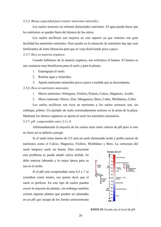 28
3.3.4. Buena capacidad para retener nutrientes minerales.
Los suelos arenosos no retienen demasiados nutrientes. El agua puede hacer que
los nutrientes se queden fuera del alcance de las raíces.
Los suelos arcillosos son mejores en este aspecto ya que retienen con gran
facilidad los nutrientes minerales. Para ayudar en la retención de nutrientes hay que usar
fertilizantes de lenta liberación para que se vaya disolviendo poco a poco.
3.3.5. Rico en materia orgánica.
Cuando hablamos de la materia orgánica, nos referimos al humus. El humus es
una sustancia muy beneficiosa para el suelo y para la planta:
1. Espongojea el suelo.
2. Retiene agua y minerales.
3. Aporta nutrientes minerales poco a poco a medida que se descompone.
3.3.6. Rico en nutrientes minerales.
1. Macro nutrientes: Nitrógeno, Fósforo, Potasio, Calcio, Magnesio, Azufre.
2. Micro nutriente: Hierro, Zinc, Manganeso, Boro, Cobre, Molibdeno, Cobre.
Los suelos arcillosos son ricos en nutrientes y los suelos arenosos son, sin
embargo, pobres. Un ejemplo de suelo extremadamente arenoso es la arena de la playa.
Mediante los abonos orgánicos se aporta al suelo los nutrientes necesarios.
3.3.7. pH comprendido entre 5,5 y 8.
Afortunadamente la mayoría de los suelos tiene estos valores de pH pero si esto
no fuera así se debería corregir.
Si el suelo tiene menos de 5,5 será un suelo demasiado ácido y podrá carecer de
nutrientes como el Calcio, Magnesio, Fósforo, Molibdeno y Boro. La estructura del
suelo tampoco suele ser buena. Para solucionar
este problema se puede añadir caliza molida. Se
debe enterrar labrando y la mejor época para su
uso es el otoño.
Si el pH está comprendido entre 6,5 y 7 se
considera como neutro, eso quiere decir que el
suelo es perfecto. En este tipo de suelos pueden
crecer la mayoría de plantas, sin embargo también
existen algunas plantas que pueden ser plantadas
en un pH que escapa de los límites anteriormente
FOTO 19. Escala con el nivel de pH.
 