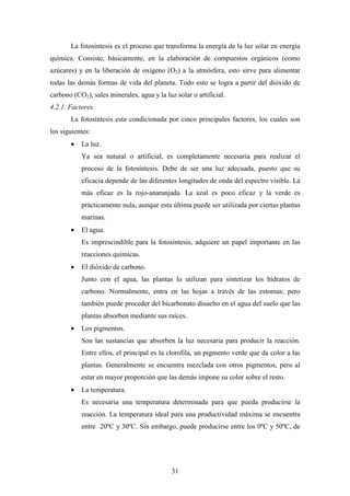31
La fotosíntesis es el proceso que transforma la energía de la luz solar en energía
química. Consiste, básicamente, en la elaboración de compuestos orgánicos (como
azúcares) y en la liberación de oxígeno (O2) a la atmósfera, esto sirve para alimentar
todas las demás formas de vida del planeta. Todo esto se logra a partir del dióxido de
carbono (CO2), sales minerales, agua y la luz solar o artificial.
4.2.1. Factores.
La fotosíntesis esta condicionada por cinco principales factores, los cuales son
los siguientes:
• La luz.
Ya sea natural o artificial, es completamente necesaria para realizar el
proceso de la fotosíntesis. Debe de ser una luz adecuada, puesto que su
eficacia depende de las diferentes longitudes de onda del espectro visible. La
más eficaz es la rojo-anaranjada. La azul es poco eficaz y la verde es
prácticamente nula, aunque esta última puede ser utilizada por ciertas plantas
marinas.
• El agua.
Es imprescindible para la fotosíntesis, adquiere un papel importante en las
reacciones químicas.
• El dióxido de carbono.
Junto con el agua, las plantas lo utilizan para sintetizar los hidratos de
carbono. Normalmente, entra en las hojas a través de las estomas; pero
también puede proceder del bicarbonato disuelto en el agua del suelo que las
plantas absorben mediante sus raíces.
• Los pigmentos.
Son las sustancias que absorben la luz necesaria para producir la reacción.
Entre ellos, el principal es la clorofila, un pigmento verde que da color a las
plantas. Generalmente se encuentra mezclada con otros pigmentos, pero al
estar en mayor proporción que las demás impone su color sobre el resto.
• La temperatura.
Es necesaria una temperatura determinada para que pueda producirse la
reacción. La temperatura ideal para una productividad máxima se encuentra
entre 20ºC y 30ºC. Sin embargo, puede producirse entre los 0ºC y 50ºC, de
 