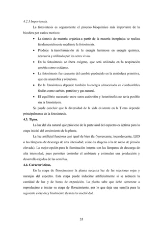 33
4.2.3 Importancia.
La fotosíntesis es seguramente el proceso bioquímico más importante de la
biosfera por varios motivos:
• La síntesis de materia orgánica a partir de la materia inorgánica se realiza
fundamentalmente mediante la fotosíntesis.
• Produce la transformación de la energía luminosa en energía química,
necesaria y utilizada por los seres vivos.
• En la fotosíntesis se libera oxígeno, que será utilizado en la respiración
aerobia como oxidante.
• La fotosíntesis fue causante del cambio producido en la atmósfera primitiva,
que era anaerobia y reductora.
• De la fotosíntesis depende también la energía almacenada en combustibles
fósiles como carbón, petróleo y gas natural.
• El equilibrio necesario entre seres autótrofos y heterótrofos no sería posible
sin la fotosíntesis.
Se puede concluir que la diversidad de la vida existente en la Tierra depende
principalmente de la fotosíntesis.
4.3. Tipos.
La luz del día natural que proviene de la parte azul del espectro es óptima para la
etapa inicial del crecimiento de la planta.
La luz artificial funciona casi igual de bien (la fluorescente, incandescente, LED
o las lámparas de descarga de alta intensidad, como la alógena o la de sodio de presión
elevada). La mejor opción para la iluminación interna son las lámparas de descarga de
alta intensidad, pues permiten controlar el ambiente y estimulan una producción y
desarrollo rápidos de las semillas.
4.4. Características.
En la etapa de florecimiento la planta necesita luz de las secciones rojas y
naranjas del espectro. Esta etapa puede inducirse artificialmente si se reducen la
cantidad de luz y de horas de exposición. La planta sabe que debe comenzar a
reproducirse e iniciar su etapa de florecimiento, por lo que deja una semilla para la
siguiente estación y finalmente alcanza la inactividad.
 