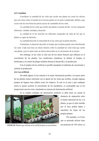 34
4.5. Cantidad.
Considerar la cantidad de luz solar que recibe una planta así como los efectos
que esto tiene sobre el tamaño de la misma puede ser un tanto complicado, debido a que
existe más de una forma de pensar acerca de cantidades de luz solar.
La cantidad de luz solar que recibe una planta se puede dividir en tres categorías
diferentes: calidad, cantidad y duración.
La calidad de la luz describe las diferentes longitudes de onda de luz que la
planta es capaz de absorber.
La cantidad describe la intensidad de la luz solar que la planta absorbe.
Finalmente, la duración describe el tiempo que la planta puede estar absorbiendo
luz solar. Cada una tiene un efecto distinto sobre la cantidad luz solar total que recibe
una planta y por lo tanto tiene un efecto observable en el crecimiento de la misma.
Sin embargo, la luz solar es sólo uno de los tantos factores que influyen en el
crecimiento de las plantas. Las condiciones climáticas, la altitud, el tiempo, el
fertilizante y el control de plagas también afectan el desarrollo y la producción.
Con el empleo de luz artificial es posible manipular el ambiente de crecimiento y
acelerar la producción.
4.6. Luz artificial.
Sin duda alguna, la luz natural es la mejor iluminación posible y la mayor parte
de las plantas tienen suficiente con el aporte de luz solar que reciben, excepto algunas
propias de lugares muy cálidos como los trópicos. Si este es el caso o por cualquier
razón se quiere acelerar el crecimiento de los ejemplares, es aconsejable que se les
proporcione una luz extra, instalando un sistema de iluminación artificial.
Si se emplea unidades de iluminación artificial se debe tener en cuenta la
distancia de separación entre
la fuente adicional de luz y la
planta, ya que el calor emitido
por el foco podría dañar y
marchitar las hojas de las
propias plantas.
Por ejemplo, si el foco
que se pretende utilizar tiene
una potencia de 150 vatios, esFOTO 24. Plantas que utilizan la luz artificial para su crecimiento.
 