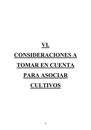 42
VI.
CONSIDERACIONES A
TOMAR EN CUENTA
PARA ASOCIAR
CULTIVOS
 