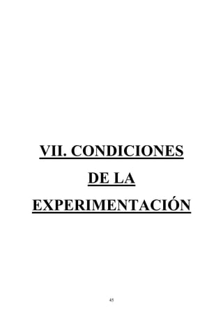 45
VII. CONDICIONES
DE LA
EXPERIMENTACIÓN
 