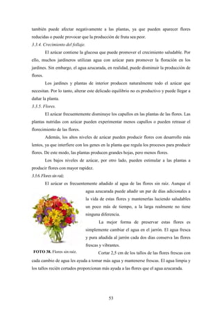 53
también puede afectar negativamente a las plantas, ya que pueden aparecer flores
reducidas o puede provocar que la producción de fruta sea peor.
3.3.4. Crecimiento del follaje.
El azúcar contiene la glucosa que puede promover el crecimiento saludable. Por
ello, muchos jardineros utilizan agua con azúcar para promover la floración en los
jardines. Sin embargo, el agua azucarada, en realidad, puede disminuir la producción de
flores.
Los jardines y plantas de interior producen naturalmente todo el azúcar que
necesitan. Por lo tanto, alterar este delicado equilibrio no es productivo y puede llegar a
dañar la planta.
3.3.5. Flores.
El azúcar frecuentemente disminuye los capullos en las plantas de las flores. Las
plantas nutridas con azúcar pueden experimentar menos capullos o pueden retrasar el
florecimiento de las flores.
Además, los altos niveles de azúcar pueden producir flores con desarrollo más
lentos, ya que interfiere con los genes en la planta que regula los procesos para producir
flores. De este modo, las plantas producen grandes hojas, pero menos flores.
Los bajos niveles de azúcar, por otro lado, pueden estimular a las plantas a
producir flores con mayor rapidez.
3.3.6.Floressinraíz.
El azúcar es frecuentemente añadido al agua de las flores sin raíz. Aunque el
agua azucarada puede añadir un par de días adicionales a
la vida de estas flores y mantenerlas luciendo saludables
un poco más de tiempo, a la larga realmente no tiene
ninguna diferencia.
La mejor forma de preservar estas flores es
simplemente cambiar el agua en el jarrón. El agua fresca
y pura añadida al jarrón cada dos días conserva las flores
frescas y vibrantes.
Cortar 2,5 cm de los tallos de las flores frescas con
cada cambio de agua les ayuda a tomar más agua y mantenerse frescas. El agua limpia y
los tallos recién cortados proporcionan más ayuda a las flores que el agua azucarada.
FOTO 38. Flores sin raíz.
 