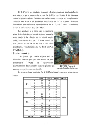 71
En la 2º serie, los resultados en cuanto a la altura media de las plantas fueron
algo peores, ya que la altura media de estas fue de 25,36 cm. Algunas de las plantas de
esta serie apenas crecieron. Como se puede observar en el cuadro, hay una planta que
creció tan solo 1 cm, y otra planta que solo alcanzó los 2,5 cm. Además, las alturas
máximas no son destacables en comparación con la 1º y la 3º serie. La altura que
alcanzó la máxima altura llegó a los 44 cm.
Los resultados de la última serie en cuanto a la
altura de la planta fueron los más exitosos, ya que la
altura media de las plantas fue de más de medio
metro, exactamente 52,5 cm. La altura mínima de
estas plantas fue de 40 cm, la cual es una altura
considerable. Y la altura máxima fue de 71 cm (Ver
CUADRO 5).
2.3. Agua con azúcar.
Las plantas que fueron regadas con la
disolución formada por agua con azúcar (en una
concentración 50g/L) se desarrollaron
estupendamente. Prácticamente todas las plantas que
germinaron obtuvieron un gran tamaño.
La altura media de las plantas fue de 38,12 cm, la cual es una gran altura para las
plantas.
Serie 1 Serie 2 Serie 3 MEDIA
1 37 35 42
2 60 40 60
3 10 40 54
C1
4 30 37 37
1 34 66
2 39
3 20 18 46
C2
4 43 37 45
1 20 47
2 40 47
3 13 44
C3
4 27 34 54
1 26 5 36
2 35 31 67
3 31 35 56
C4
4 36 49
38,12
MEDIA 29,33 32,46 49,31
FOTO 50. Proceso de
preparación de las disoluciones.
 