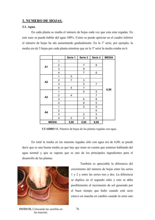76
3. NUMERO DE HOJAS.
3.1. Agua.
En cada planta se medía el número de hojas cada vez que esta eran regadas. En
este caso se puede hablar del agua 100%. Como se puede apreciar en el cuadro inferior
el número de hojas ha ido aumentando gradualmente. En la 1º serie, por ejemplo, la
media era de 5 hojas por cada planta mientras que en la 3º serie la media estaba en 6.
Serie 1 Serie 2 Serie 3 MEDIA
1
2 7 8
3 9
A1
4 7 8
1 5
2 7 3
3 5 7
A2
4 4 7
1 5 5
2 4 7
3 6 8
A3
4 8 5
1 5 5
2 6
3 2 5
A4
4 5 2 8
6,00
MEDIA 5,00 5,00 6,00
En total la media en las macetas regadas sólo con agua era de 6,00; se puede
decir que es una buena media ya que hay que tener en cuenta que estamos hablando del
agua normal y que se supone que es uno de los principales ingredientes para el
desarrollo de las plantas.
También es apreciable la diferencia del
crecimiento del número de hojas entre las series
1 y 2 y entre las series tres y dos. La diferencia
se duplica en el segundo salto y esto se debe
posiblemente al incremento de sol generado por
el buen tiempo que hubo cuando está serie
estuvo en marcha en cambio cuando la serie uno
CUADRO 11. Número de hojas de las plantas regadas con agua.
FOTO 52. Colocando las semillas en
las macetas.
 
