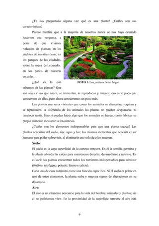 9
¿Te has preguntado alguna vez qué es una planta? ¿Cuáles son sus
características?
Parece mentira que a la mayoría de nosotros nunca se nos haya ocurrido
hacernos esa pregunta, a
pesar de que vivimos
rodeados de plantas; en los
jardines de nuestras casas, en
los parques de las ciudades,
sobre la mesa del comedor,
en los patios de nuestras
escuelas…
¿Qué es lo que
sabemos de las plantas? Que
son seres vivos que nacen, se alimentan, se reproducen y mueren; eso es lo poco que
conocemos de ellas, pero ahora conoceremos un poco más.
Las plantas son seres vivientes que como los animales se alimentan, respiran y
se reproducen. A diferencia de los animales las plantas no pueden desplazarse, ni
tampoco sentir. Pero si pueden hacer algo que los animales no hacen, como fabricar su
propio alimento mediante la fotosíntesis.
¿Cuáles son los elementos indispensables para que una planta crezca? Las
plantas necesitan del suelo, aire, agua y luz; los mismos elementos que necesita el ser
humano para poder sobrevivir, al eliminarle uno solo de ellos mueren.
Suelo:
El suelo es la capa superficial de la corteza terrestre. En él la semilla germina y
la planta ahonda las raíces para mantenerse derecha, desarrollarse y nutrirse. En
el suelo las plantas encuentran todos los nutrientes indispensables para subsistir
(fósforo, nitrógeno, potasio, hierro y calcio).
Cada uno de esos nutrientes tiene una función específica. Si el suelo es pobre en
uno de estos elementos, la planta sufre y muestra signos de alteraciones en su
desarrollo.
Aire:
El aire es un elemento necesario para la vida del hombre, animales y plantas; sin
él no podríamos vivir. En la proximidad de la superficie terrestre el aire está
FOTO 1. Los jardines de un hogar.
 