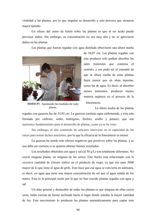 90
vitalidad a las plantas, por lo que impulsa su desarrollo y esto provoca que alcancen
mayor tamaño.
Un efecto del zumo de limón sobre las plantas es que al ser ácido puede
provocar daños. Sin embargo, su concentración no era muy alta y no se apreciaron
daños en las plantas.
Las plantas que fueron regadas con agua destilada obtuvieron una altura media
de 34,07 cm. Las plantas regadas con
este producto solo podían absorber las
sales minerales que contenía el
sustrato, y eso pudo ser el causante de
que la altura media de estas plantas
fuera menor que en otras macetas,
como las de agua. Es decir; al absorber
menos nutrientes, producen menos
materia orgánica en el proceso de la
fotosíntesis.
La altura media de las plantas
regadas con gaseosa fue de 33,82 cm. La gaseosa contiene agua carbonatada, y ésta esta
formada por carbono, sodio, hidrógeno, fósforo, azufre y potasio, que son
nutrientes fundamentales para el desarrollo de plantas, como ya se ha visto.
Sin embargo, el alto contenido de azúcares interviene en la capacidad de las
raíces para tomar dichos nutrientes, por lo que la eficacia de la fotosíntesis es menor.
La gaseosa ha tenido más efectos negativos que positivos sobre las plantas, y su
uso debe ser correcto si se quieren obtener buenos resultados.
Los resultados obtenidos con agua y sal (al 50 g/L) son totalmente diferentes. No
creció ninguna planta, en ninguna de las series. Este hecho esta relacionado con la
excesiva cantidad de cloruro sódico en el producto de riego, ya que era unas 5600
mayor de lo que tiene el agua de grifo. Esto hace que esa agua se convierta en salmuera,
es decir, en agua que tiene una mayor concentración de sal que el agua salada de los
mares. Esta es la principal razón por la que no han crecido plantas regadas con agua y
sal.
Un dato general y destacable de todas las plantas es que ninguna de ellas crecía
recta, todas crecían de forma inclinada hacía el lugar donde entraba la mayor cantidad
de luz. Este movimiento lo producen las plantas automáticamente para captar más
FOTO 57. Apuntando las medidas de cada
planta.
 