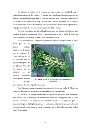 92
La adición de azúcar en el producto de riego puede ser perjudicial para el
crecimiento óptimo de las plantas. Es verdad que las plantas sintetizan sus propios
azúcares, pero cada planta produce la cantidad necesaria y un exceso de concentración
de azúcar en el producto de riego podría tener efectos negativos en el correcto
crecimiento de las plantas. Sin embargo, una ligera cantidad de azúcar en el producto de
riego produciría efectos positivos en el crecimiento de las plantas.
El agua con azúcar que fue utilizado para regar las plantas contenía una gran
cantidad de azúcar, exactamente 50gr/L, y es por eso por lo que la media de hojas por
planta no es muy alta aunque tampoco es un resultado negativo.
En lo que se refiere a las plantas que han sido regadas con agua con sal es obvio
decir que no ha
crecido ninguna
planta y por lo tanto,
que el producto de
riego utilizado no es
el adecuado para el
crecimiento optimo de
las plantas. Uno de
los factores que ha
influido en el
negativo crecimiento
de las plantas ha sido
la elevada
concentración de sal en el producto de riego.
Las plantas regadas con agua con amoniaco obtuvieron una media de 5 hojas por
planta, un dato positivo pero que no ha superado nuestras perspectivas.
El amoniaco en una proporción excesiva puede ser peligroso para las plantas,
pero en este caso el porcentaje de amoniaco en disolución con agua es del 0,1%, una
cantidad minúscula. El amoniaco en cantidades ligeras es beneficioso para el
crecimiento óptimo de la plantas porque el amoniaco contiene nitrógeno, un elemento
necesario para la planta y que no puede conseguir a través del medio pero si del suelo a
través de las raíces.
FOTO 58. Restos de las plantas y hojas después de ser
desechadas.
 