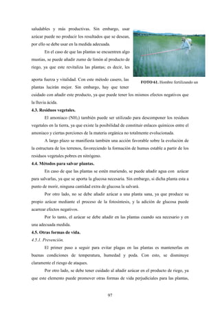 97
FOTO 61. Hombre fertilizando un
arrozal.
saludables y más productivas. Sin embargo, usar
azúcar puede no producir los resultados que se desean,
por ello se debe usar en la medida adecuada.
En el caso de que las plantas se encuentren algo
mustias, se puede añadir zumo de limón al producto de
riego, ya que este revitaliza las plantas; es decir, les
aporta fuerza y vitalidad. Con este método casero, las
plantas lucirán mejor. Sin embargo, hay que tener
cuidado con añadir este producto, ya que puede tener los mismos efectos negativos que
la lluvia ácida.
4.3. Residuos vegetales.
El amoniaco (NH3) también puede ser utilizado para descomponer los residuos
vegetales en la tierra, ya que existe la posibilidad de constituir enlaces químicos entre el
amoniaco y ciertas porciones de la materia orgánica no totalmente evolucionada.
A largo plazo se manifiesta también una acción favorable sobre la evolución de
la estructura de los terrenos, favoreciendo la formación de humus estable a partir de los
residuos vegetales pobres en nitrógeno.
4.4. Métodos para salvar plantas.
En caso de que las plantas se estén muriendo, se puede añadir agua con azúcar
para salvarlas, ya que se aporta la glucosa necesaria. Sin embargo, si dicha planta esta a
punto de morir, ninguna cantidad extra de glucosa la salvará.
Por otro lado, no se debe añadir azúcar a una planta sana, ya que produce su
propio azúcar mediante el proceso de la fotosíntesis, y la adición de glucosa puede
acarrear efectos negativos.
Por lo tanto, el azúcar se debe añadir en las plantas cuando sea necesario y en
una adecuada medida.
4.5. Otras formas de vida.
4.5.1. Prevención.
El primer paso a seguir para evitar plagas en las plantas es mantenerlas en
buenas condiciones de temperatura, humedad y poda. Con esto, se disminuye
claramente el riesgo de ataques.
Por otro lado, se debe tener cuidado al añadir azúcar en el producto de riego, ya
que este elemento puede promover otras formas de vida perjudiciales para las plantas,
 