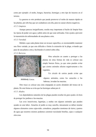 98
FOTO 62. Ceniza.
como por ejemplo: el moho, hongos, bacterias, hormigas y otro tipo de insectos en el
terreno.
La gaseosa es otro producto que puede promover el moho de manera rápida en
las plantas, por ello hay que ser cuidadosos con ella, para no causar efectos negativos.
4.5.2. Limpieza.
Aunque parezca insignificante, resulta muy importante el hecho de limpiar bien
las tijeras de podar con agua y jabón antes de que sean utilizadas. Esto ayuda a prevenir
la transmisión de enfermedades de una planta a otra.
4.5.3. Variedad.
Debido a que cada planta tiene un invasor específico, es recomendable mantener
una flora variada; ya que esto dificulta o limita la extensión de la plaga, evitando que
pase de una planta a otra y facilitando el control sobre ellas.
4.5.4. Barreras.
Otra solución en cuanto a proteger a las
plantas de otras formas de vida es colocar una
simple barrera física, ya que estas pueden evitar
que ciertos animales afecten negativamente a los
vegetales.
Un círculo de ceniza puede evitar que
algunos animales, como los caracoles o las
babosas, invadan las macetas.
Otro truco es colocar una cinta empapada en aceite alrededor del tronco de la
planta. De esta forma se evita que las hormigas suban por el.
4.5.5. Aliados.
Los depredadores naturales de las plagas pueden resultar de gran ayuda a la hora
de proteger los jardines o las macetas.
Las aves insectívoras, lagartijas, y arañas son algunos animales que pueden
ayudar en esta labor. Atraerlos al jardín es muy sencillo, únicamente se deben instalar
algunos elementos como cajas-nido, comederos, pequeños montones de tierra y puntos
de agua que nosotros mismos podemos construir reciclando botellas, cajas o cualquier
otra cosa.
 