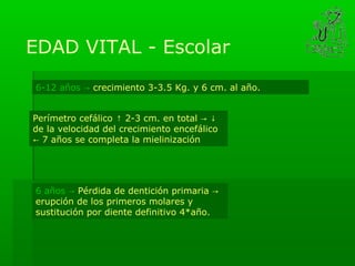 EDAD VITAL - Escolar
6-12 años → crecimiento 3-3.5 Kg. y 6 cm. al año.


Perímetro cefálico ↑ 2-3 cm. en total → ↓
de la velocidad del crecimiento encefálico
← 7 años se completa la mielinización




6 años → Pérdida de dentición primaria →
erupción de los primeros molares y
sustitución por diente definitivo 4*año.
 