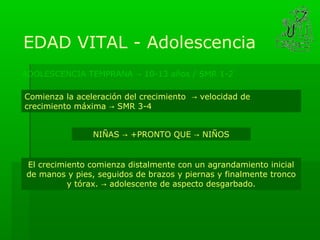 EDAD VITAL - Adolescencia
ADOLESCENCIA TEMPRANA → 10-13 años / SMR 1-2

Comienza la aceleración del crecimiento → velocidad de
crecimiento máxima → SMR 3-4


                NIÑAS → +PRONTO QUE → NIÑOS


El crecimiento comienza distalmente con un agrandamiento inicial
de manos y pies, seguidos de brazos y piernas y finalmente tronco
          y tórax. → adolescente de aspecto desgarbado.
 