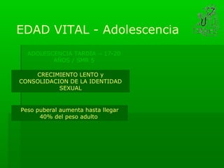 EDAD VITAL - Adolescencia
  ADOLESCENCIA TARDÍA → 17-20
         AÑOS / SMR 5

    CRECIMIENTO LENTO y
CONSOLIDACION DE LA IDENTIDAD
           SEXUAL


Peso puberal aumenta hasta llegar
      40% del peso adulto
 