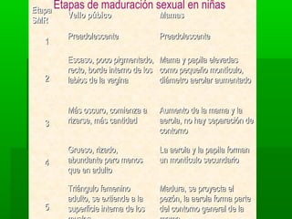 Etapa Etapas de maduración sexual            en niñas
         Vello púbico       Mamas
SMR
       Preadolescente                Preadolescente
  1

       Escaso, poco pigmentado,      Mama y papila elevadas
       recto, borde interno de los   como pequeño montículo,
  2    labios de la vagina           diámetro aerolar aumentado


       Más oscuro, comienza a        Aumento de la mama y la
  3    rizarse, más cantidad         aerola, no hay separación de
                                     contorno

       Grueso, rizado,               La aerola y la papila forman
  4    abundante pero menos          un montículo secundario
       que en adulto

       Triángulo femenino            Madura, se proyecta el
       adulto, se extiende a la      pezón, la aerola forma parte
  5    superficie interna de los     del contorno general de la
 