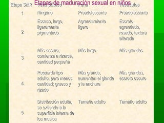Etapa SMR Etapas de maduración
           Vello púbico  Pene        sexual en niños
                                                Testículos
   1     Ninguno               Preadolescente       Preadolescente
         Escaso, largo,        Agrandamiento        Escroto
         ligeramente           ligero               agrandado,
   2     pigmentado                                 rosado, textura
                                                    alterada

         Más oscuro,           Más largo            Más grandes
   3     comienza a rizarse,
         cantidad pequeña

         Recuerda tipo         Más grande,          Más grandes,
         adulto, pero menos    aumentan el glande   escroto oscuro
   4     cantidad; grueso y    y la anchura
         rizado

         Distribución adulta, Tamaño adulto         Tamaño adulto
         se extiende a la
   5     superficie interna de
         los muslos
 
