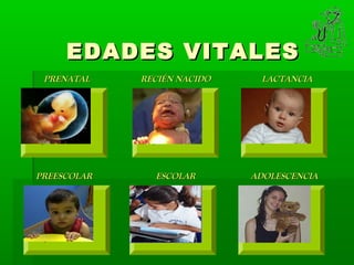 EDADES VITALES
 PRENATAL    RECIÉN NACIDO    LACTANCIA




PREESCOLAR     ESCOLAR       ADOLESCENCIA
 