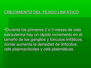 CRECIMIENTO DEL TEJIDO LINFÁTICO



Durante los primeros 2 o 3 meses de vida
extrauterina hay un rápido incremento en el
tamaño de los ganglios y folículos linfáticos,
donde aumenta la densidad de linfocitos,
cels plasmacitoides y cels plasmáticas.
 