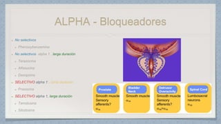 ALPHA - Bloqueadores
No selectivos
No selectivos larga duración
SELECTIVO alpha 1 corta duración
SELECTIVO alpha 1, larga duración
 