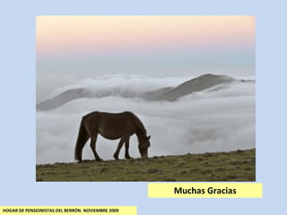 Muchas Gracias HOGAR DE PENSIONISTAS DEL BERRÓN. NOVIEMBRE 2009 