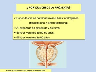 ¿POR QUÉ CRECE LA PRÓSTATA? HOGAR DE PENSIONISTAS DEL BERRÓN. NOVIEMBRE 2009 Dependencia de hormonas masculinas: andrógenos    (testosterona y dihidrotestorena) A  expensas de glándulas y estroma. 50% en varones de 50-60 años. 90% en varones de 80 años. 