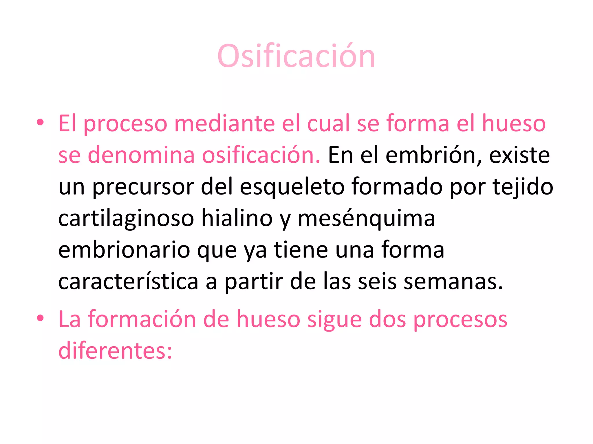 Crecimiento óseo intramembranoso y endocondral | PPTX