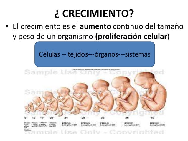Crecimiento y desarrollo