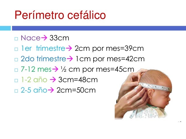 Crecimiento y desarrollo por Gabriela Posada Soto