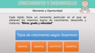 Momento u Oportunidad
Cada tejido tiene un momento particular en el que se
obtienen los máximos logros de crecimiento, desarrollo y
madurez. “Ritmo, grado y velocidad”
Tipos de crecimiento según Scammon
NEURAL GENITAL LINFÁTICO GENERAL
 