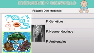 Factores Determinantes
F. Genéticos
F. Neuroendocrinos
F. Ambientales
 
