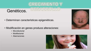 Genéticos.
• Determinan características epigenéticas.
• Modificación en genes produce alteraciones:
• Monofactorial
• Multifactorial
• Aberraciones
 