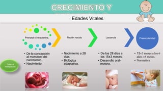Edades Vitales
Prenatal o intrauterina.
• De la concepción
al momento del
nacimiento.
• Nacimiento
Recién nacido
• Nacimiento a 28
días.
• Biológica
adaptativa.
Lactancia
• De los 28 días a
los 15±3 meses.
• Desarrollo oral-
motora.
Preescolaridad
• 15±3 meses a los 6
años ±6 meses.
• Normativa
Crisis 
readaptación.
 