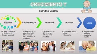 Edades vitales
Escolar
• 6 años ±10años M
y 12 años en H.
• Paso a juventud.
Adolescencia
• 10años±1 a los 16
años ±2 en la M.
12 años±1 a los
18±2 años en el H.
• Juventud.
Juventud
• 16 años ±1 a los
25- 30 en M.
18±2 en el H.
• Adultez.
Adultez
• 25-30 a los 45-50
años.
• Climaterio.
Vejez
• 50-55 años en
adelante.
• Aceptar la
muerte.
 