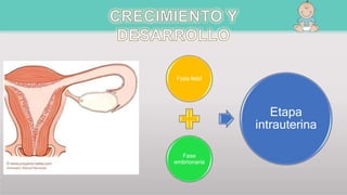 Fase fetal
Fase
embrionaria
Etapa
intrauterina
 