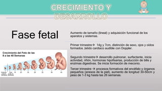 Fase fetal Aumento de tamaño (lineal) y adquisición funcional de los
aparatos y sistemas.
Primer trimestre 14g y 7cm, distinción de sexo, ojos y oídos
formados ,latido cardiaco audible con Doppler.
Segundo trimestre desarrollo pulmonar, surfactante, inicia
actividad, riñón, hormonas hipofisarias, producción de bilis y
enzimas digestivas. Se inicia formación de meconio.
Tercer trimestre  procesos formativos del encéfalo y órganos
pequeños (anexos de la piel), aumento de longitud 30-50cm y
peso de 1-3 kg hasta las 26 semanas.
 