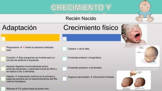 Adaptación
Respiratoria  !!! Antes la placenta realizaba
esta.
Corazón  flujo sanguíneo se invierte para un
circuito de derecha a izquierda.
Aparato digestivo funcionalmente activo,
enzimas presentes y capacidad inicial de 30ml y
se triplica a las 2 semanas.
Hígado  maduración culmina en la primera o
segunda semana por la hipotrombinemia del RN,
ictericia fisiológica.
Riñones FG pobre hasta el primer año.
Crecimiento físico
Cabeza ¼ de la talla.
Fontanela anterior o bregmática
Fontanela posterior o lamboidea
Órganos sensoriales  información limitada.
Recién Nacido
 