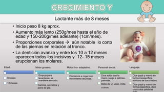 Lactante más de 8 meses
Edad.
9meses
12 meses
Empuja para
levantarse, se
mantiene sentado.
Camina, se inclina y
pone de pie.
Comienza a coger con
movimiento de pinza.
• Inicio peso 8 kg aprox.
• Aumento más lento (250g/mes hasta el año de
edad y 150-200g/mes adelante) (1cm/mes).
• Proporciones corporales  aún notable lo corto
de las piernas en relación al tronco.
• La dentición avanza y entre los 10 a 12 meses
aparecen todos los incisivos y 12- 15 meses
erupcionan los molares.
Motor grosero. Motor fino- adaptativo. Personal- social.
Dice adiós con la
mano, juega a palmas-
palmitas.
Bebe de un vaso, imita
a otros.
Lenguaje.
Dice papá y mamá en
forma inespecífica,
sonidos de dos sílabas.
Dice papá y mamá de
forma específica, dice
una o dos palabras
 